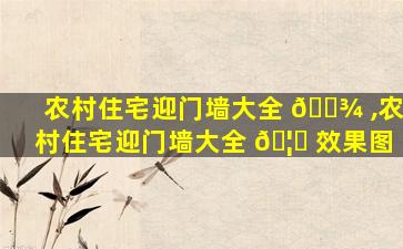 农村住宅迎门墙大全 🌾 ,农村住宅迎门墙大全 🦆 效果图